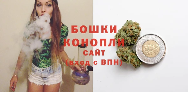 сатива Куйбышев