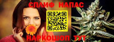 индика Краснознаменск