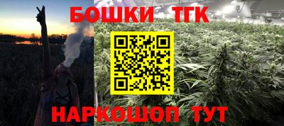 индика Краснознаменск