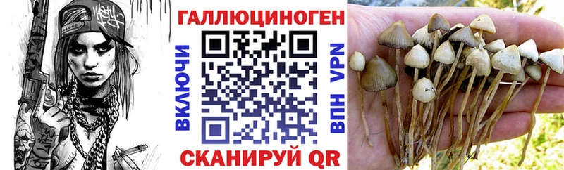 Псилоцибиновые грибы прущие грибы  mega сайт  Кизилюрт 