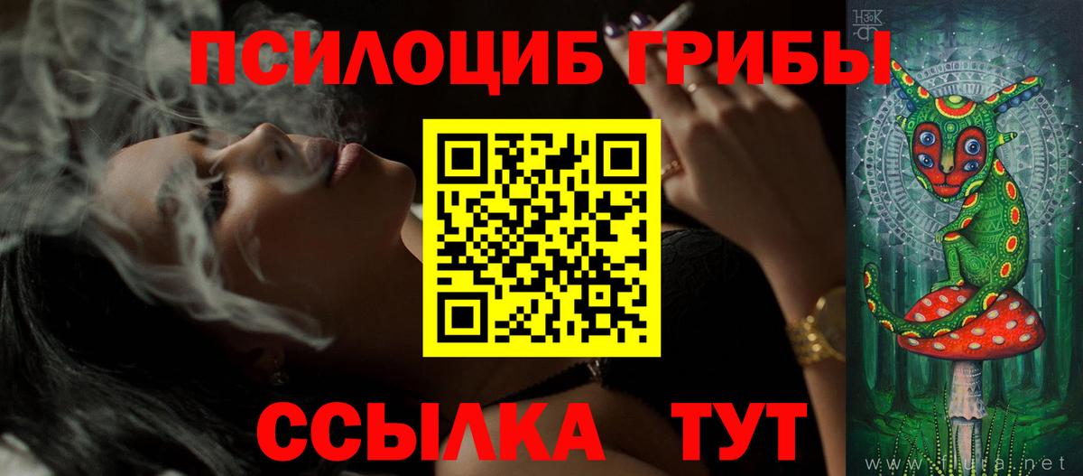 Кизилюрт  Псилоцибиновые грибы MAGIC MUSHROOMS  Вход с VPN 